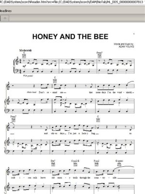  Honey Bee : 몽환적인 멜로디와 매혹적인 보컬이 어우러진 감성 R&B